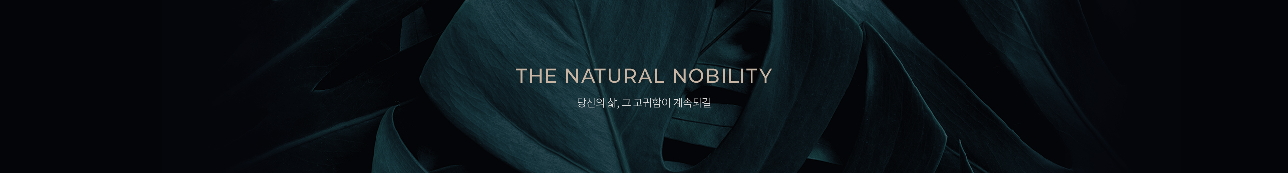 THE NATURAL NOBILITY 본연이 지니는 고귀함