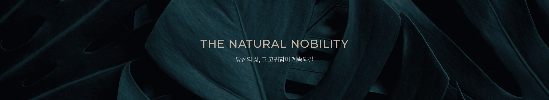 THE NATURAL NOBILITY 본연이 지니는 고귀함