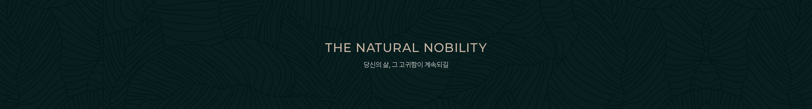 THE NATURAL NOBILITY 본연이 지니는 고귀함