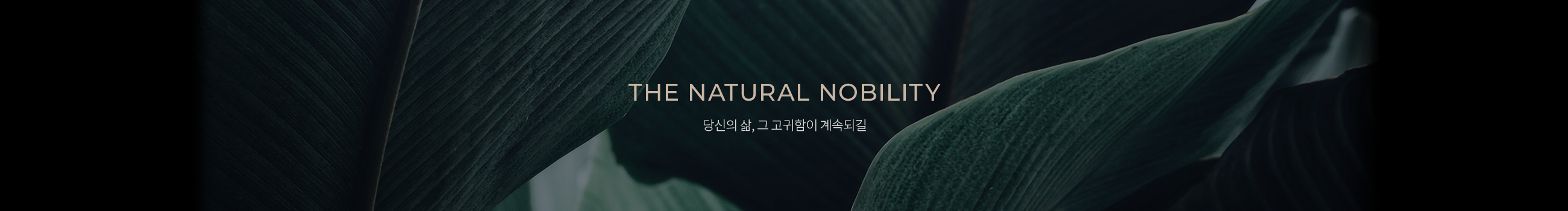 THE NATURAL NOBILITY 본연이 지니는 고귀함