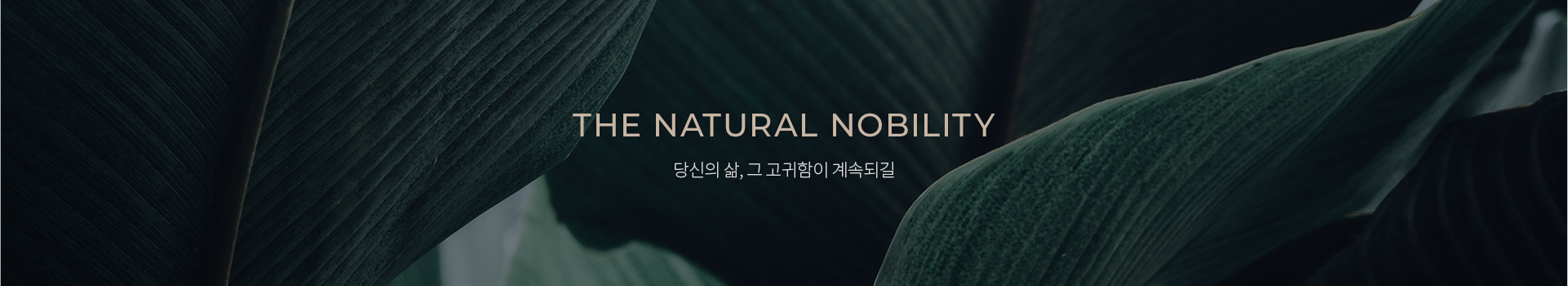 THE NATURAL NOBILITY 본연이 지니는 고귀함