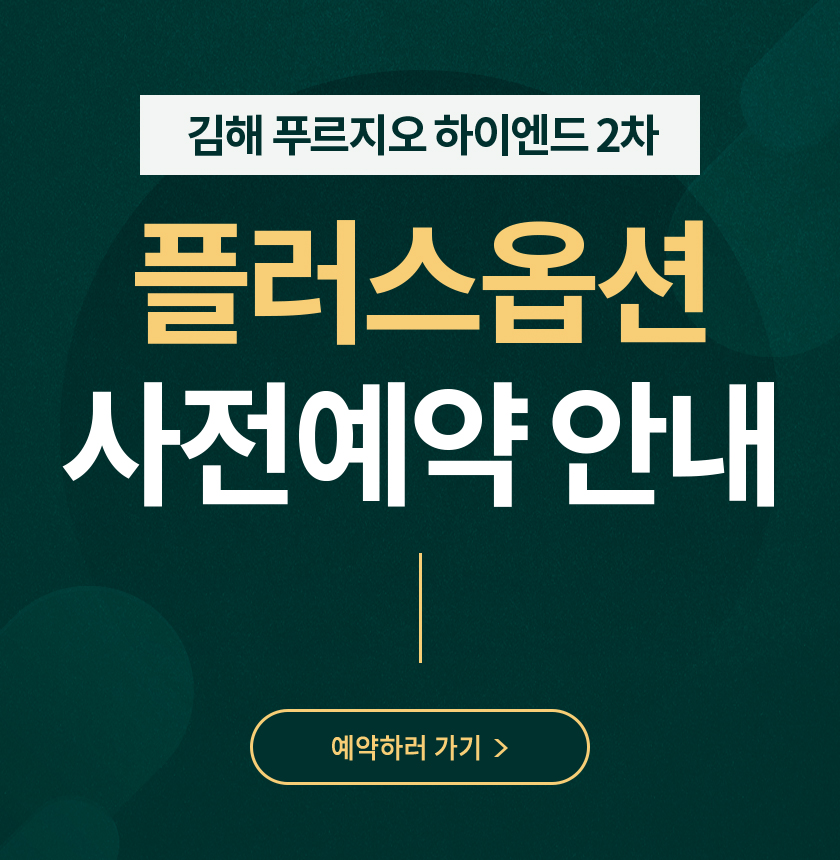플러스옵션 사전예약