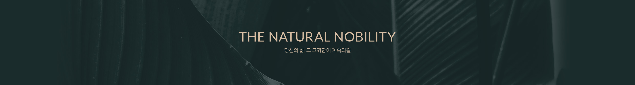 THE NATURAL NOBILITY 본연이 지니는 고귀함