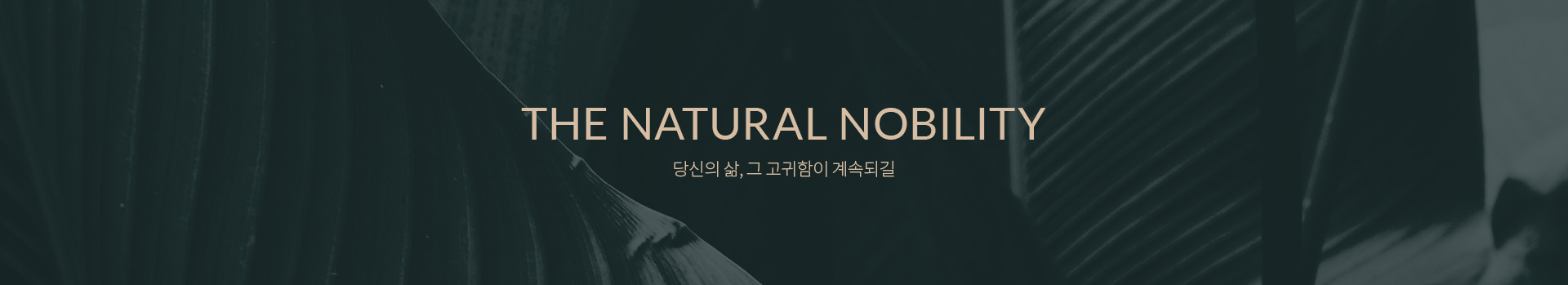 THE NATURAL NOBILITY 본연이 지니는 고귀함