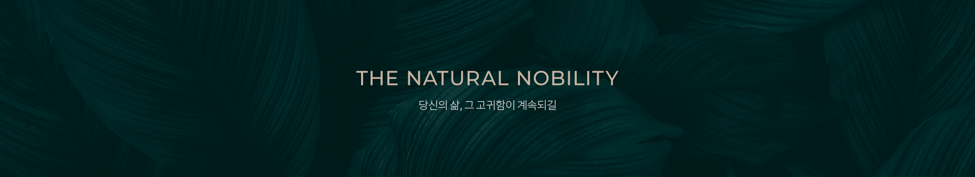 THE NATURAL NOBILITY 본연이 지니는 고귀함