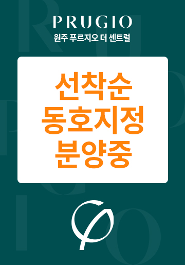 선착순동호지정